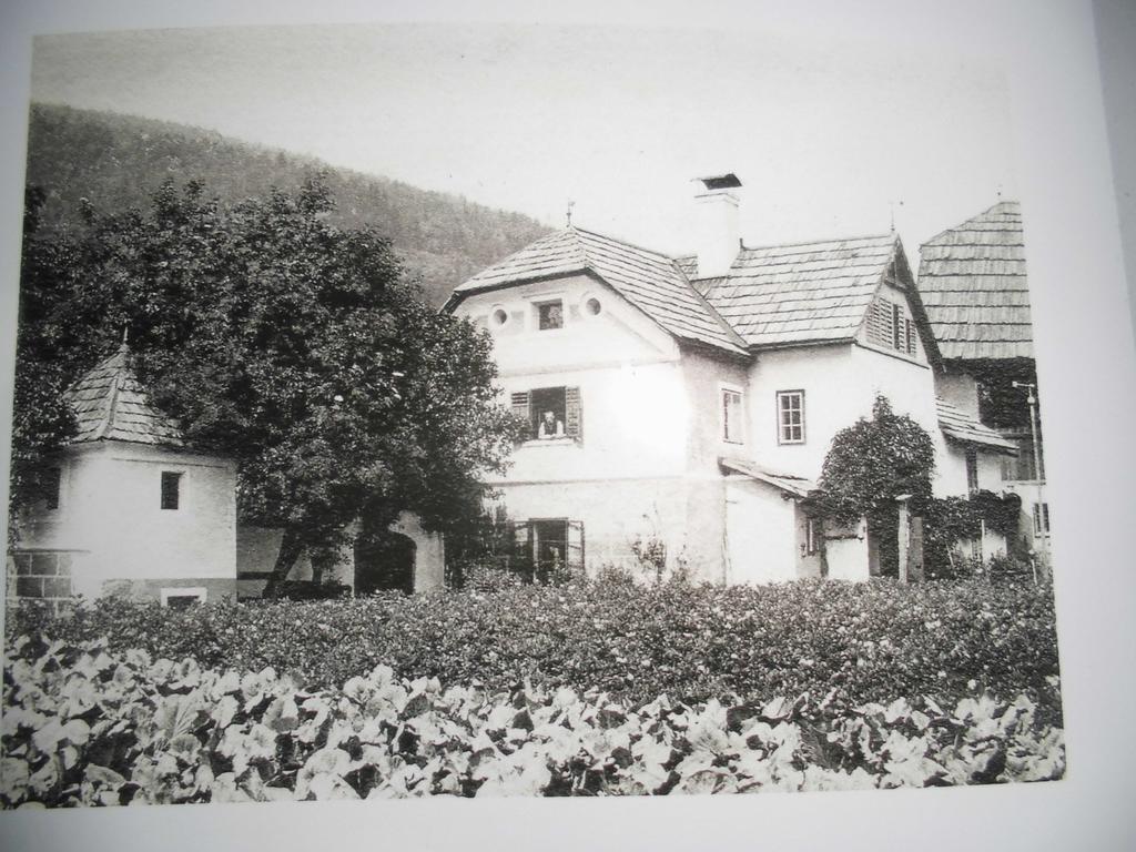 גמונד Pension & Ferienwohnung Dullnig מראה חיצוני תמונה